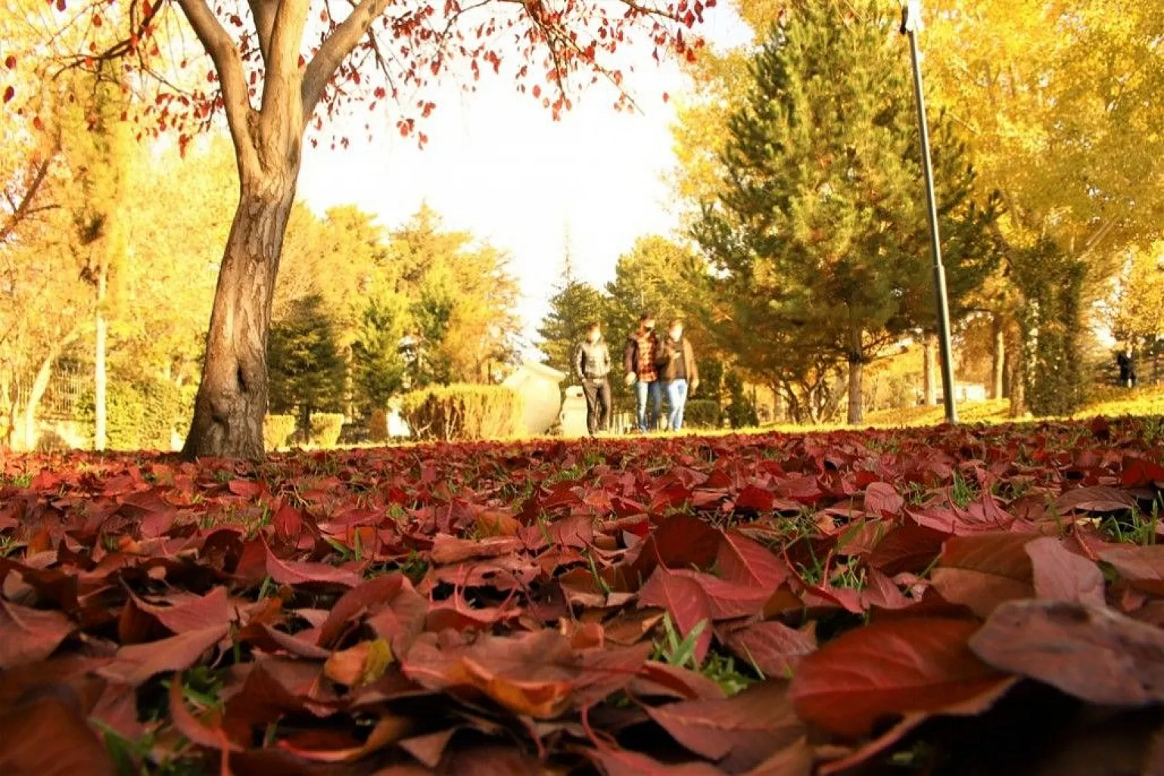 Elazığ'da sonbahar renkleri görsel şölen sunuyor