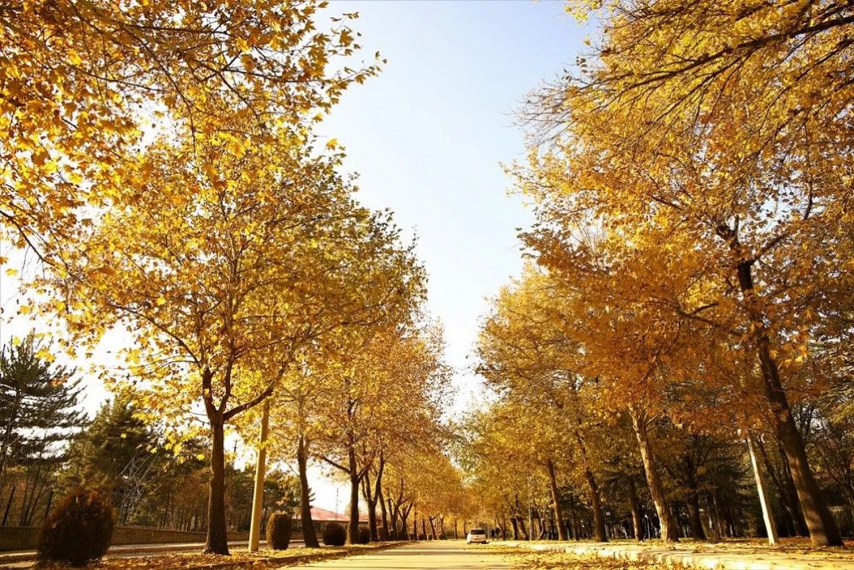 Elazığ'da sonbahar renkleri görsel şölen sunuyor