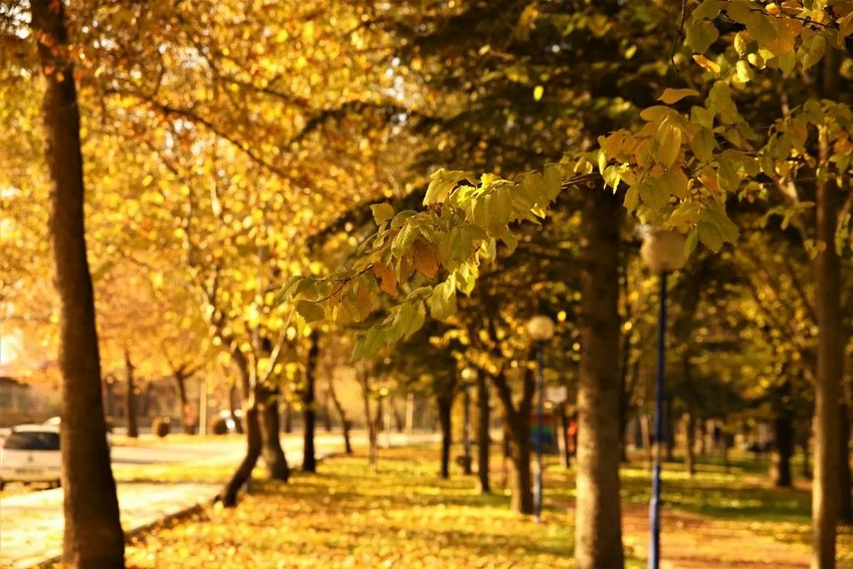 Elazığ'da sonbahar renkleri görsel şölen sunuyor