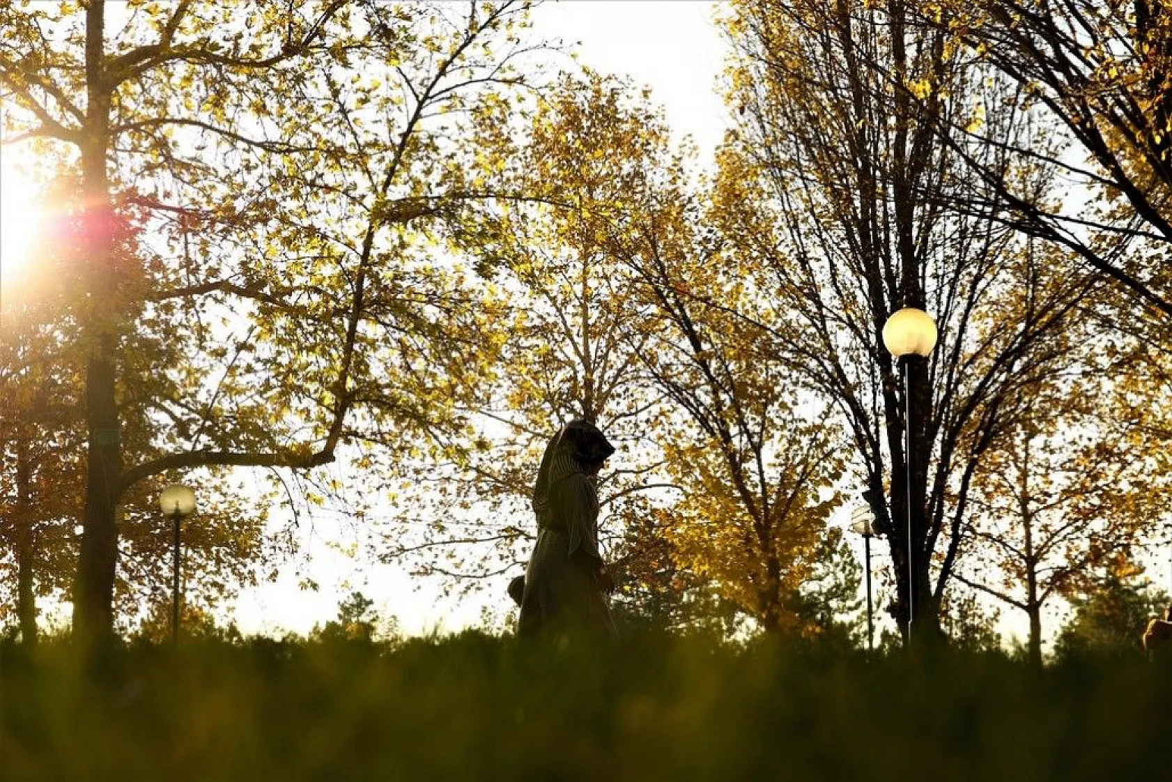 Elazığ'da sonbahar renkleri görsel şölen sunuyor
