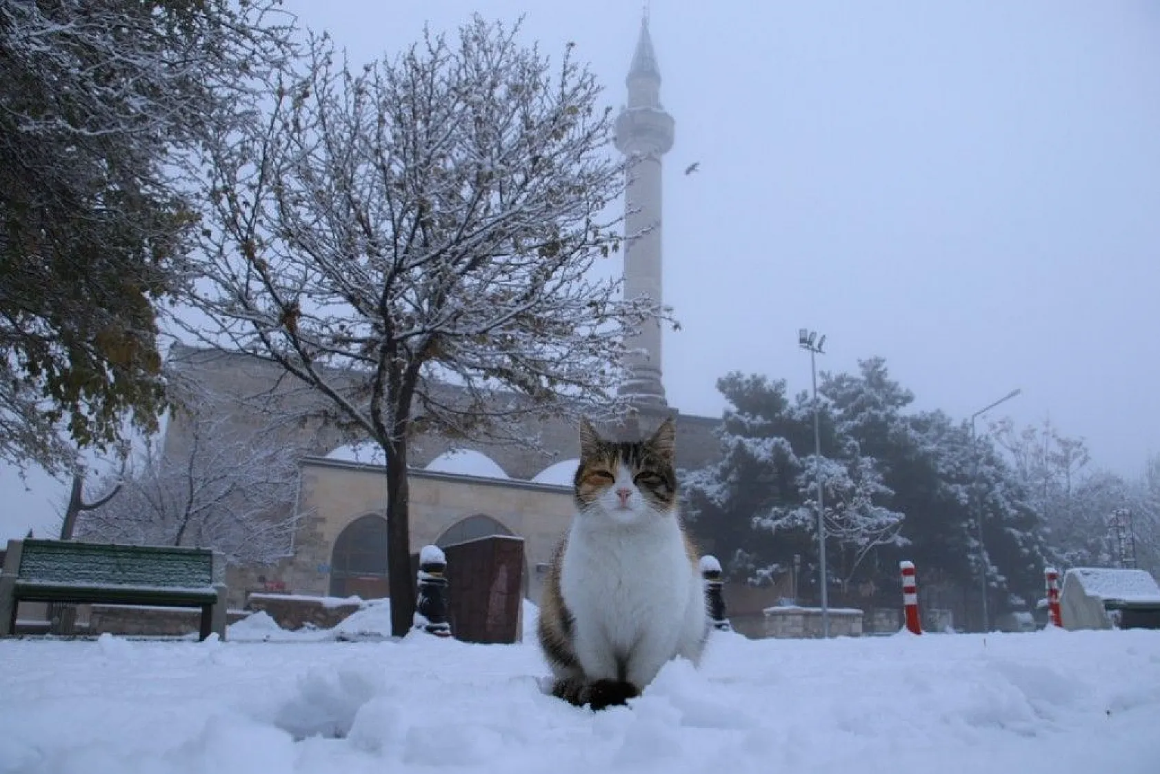 Elazığ'a mevsimin ilk karı yağdı
