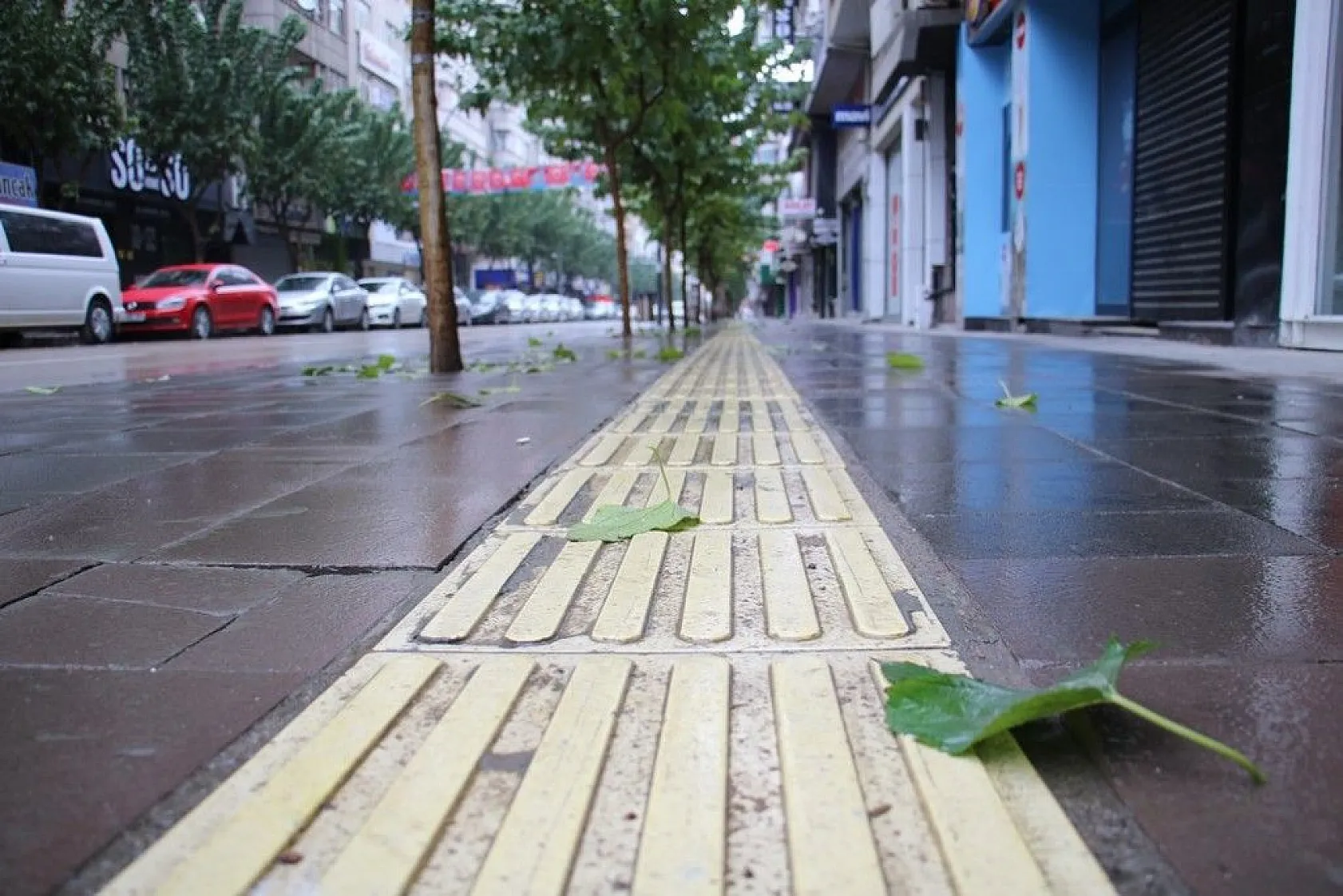 Elazığ'da kısıtlama sessizliği