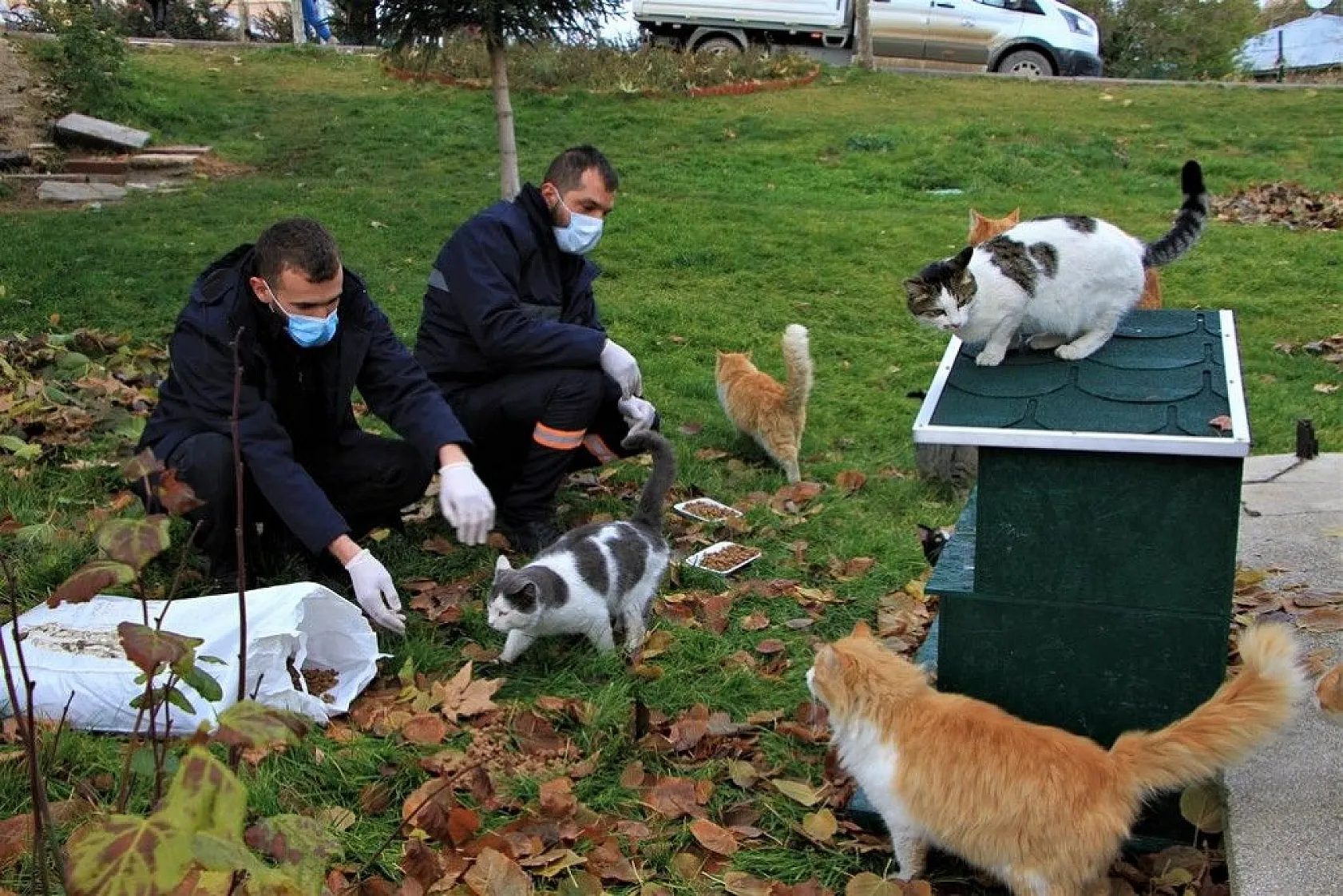 Sokağa çıkma kısıtlamasında sokak hayvanları unutulmadı