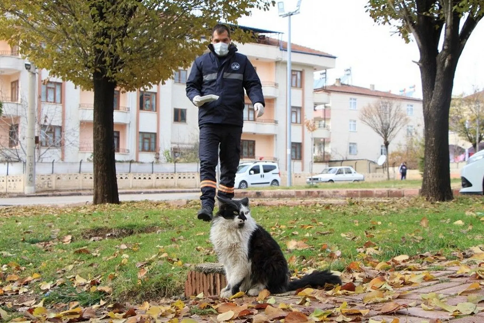 Sokağa çıkma kısıtlamasında sokak hayvanları unutulmadı