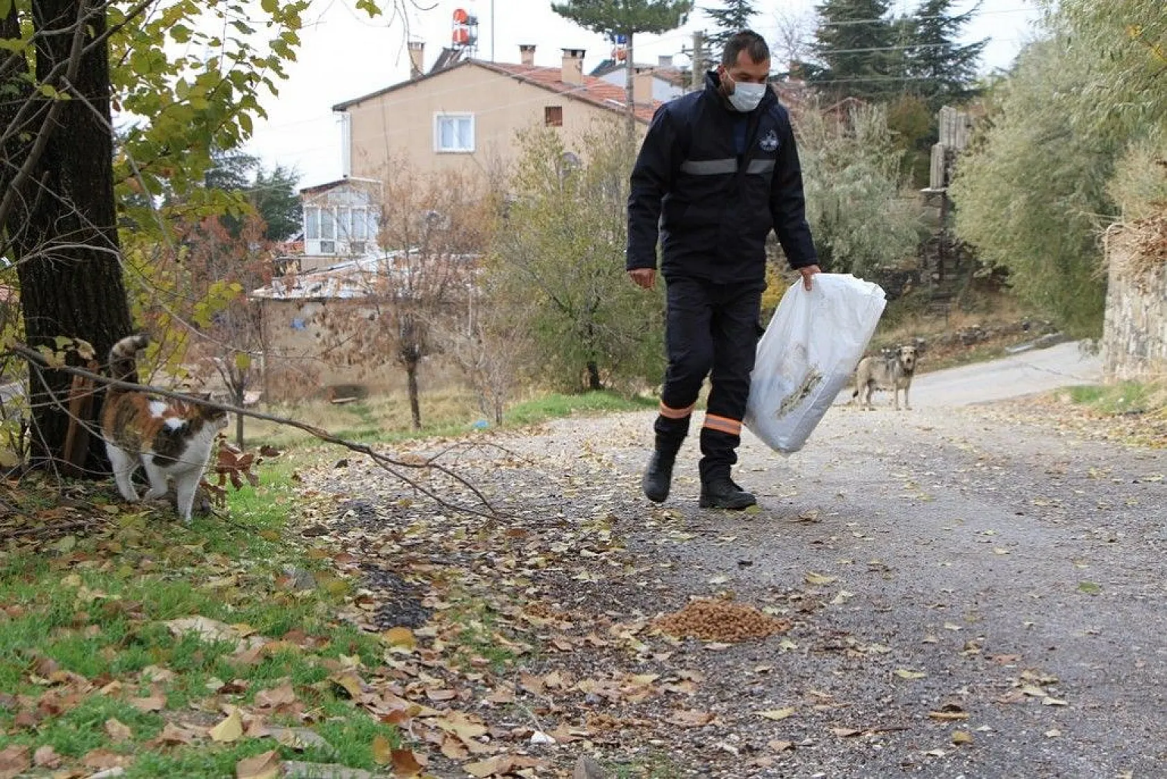 Sokağa çıkma kısıtlamasında sokak hayvanları unutulmadı