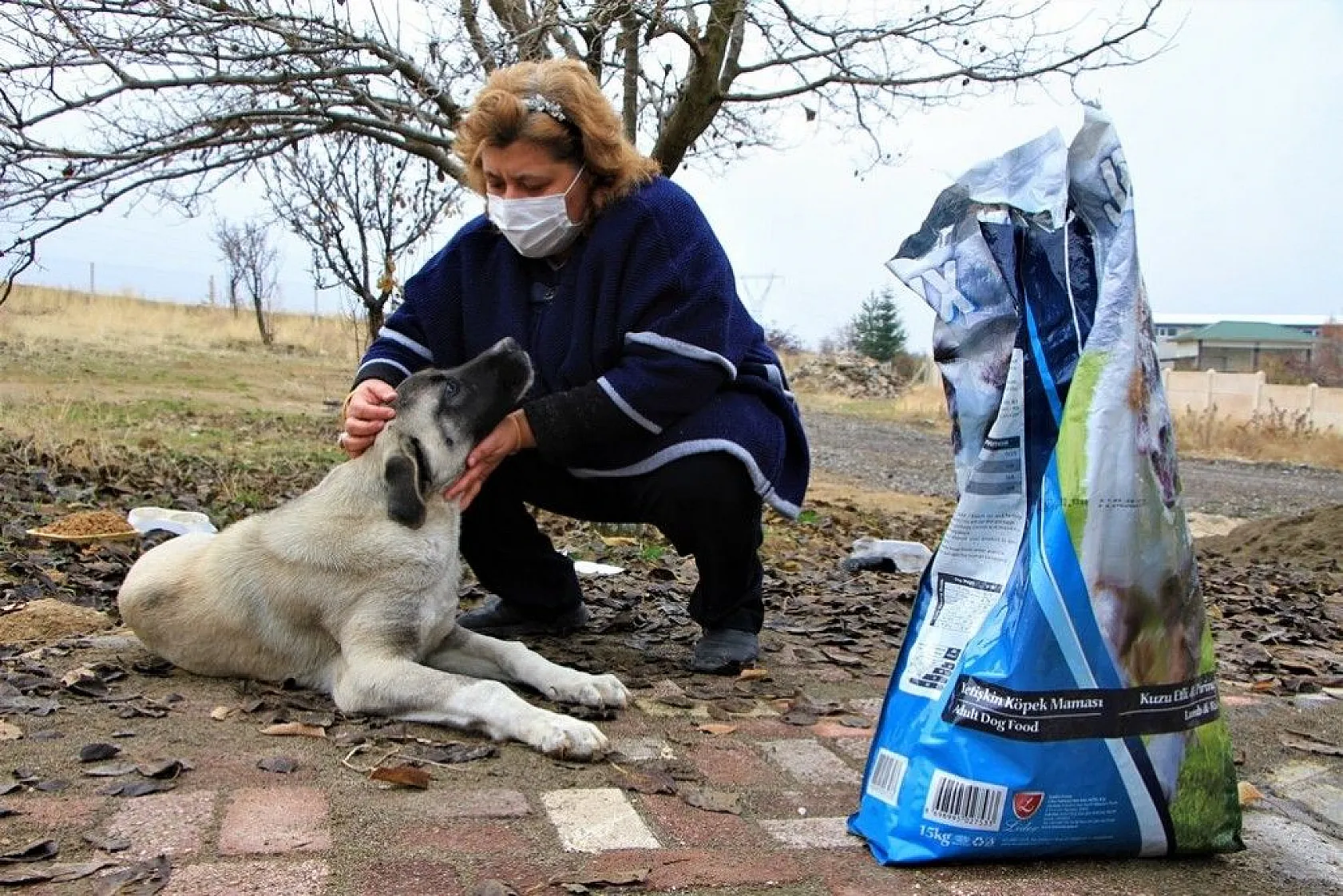 Sokağa çıkma kısıtlamasında sokak hayvanları unutulmadı
