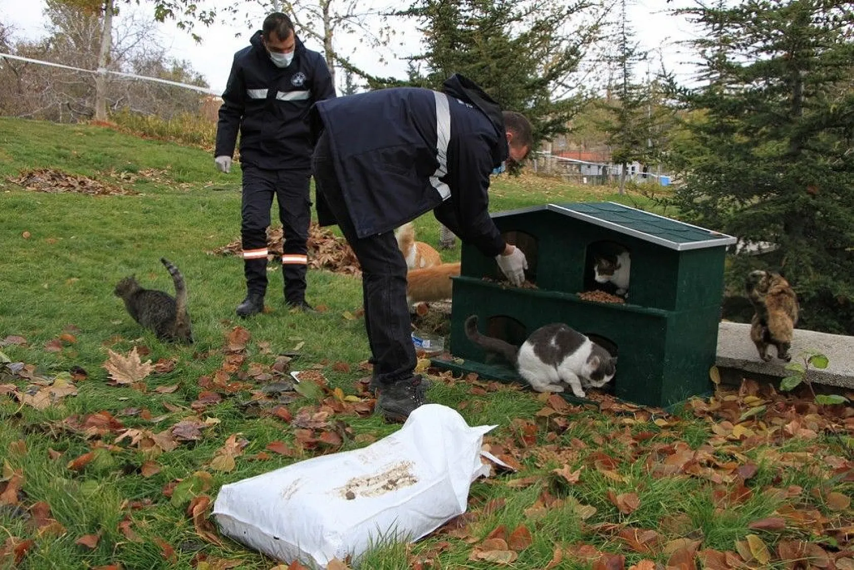 Sokağa çıkma kısıtlamasında sokak hayvanları unutulmadı