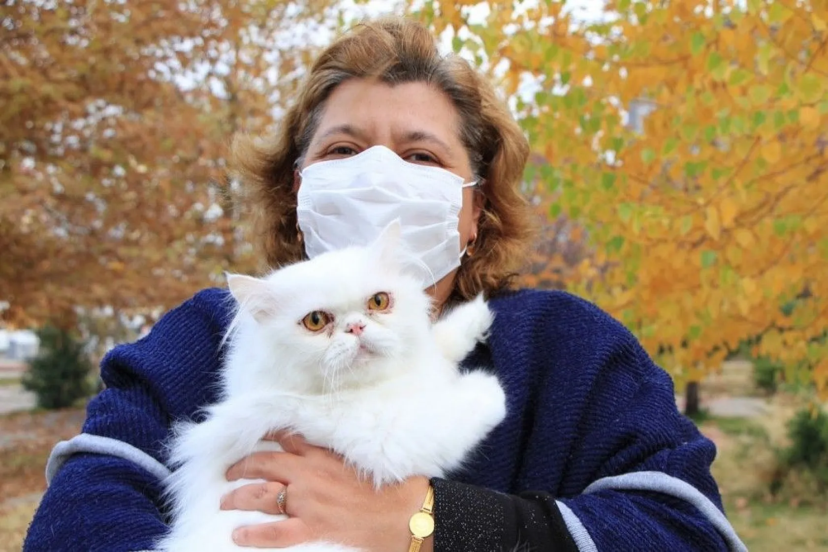 Sokağa çıkma kısıtlamasında sokak hayvanları unutulmadı