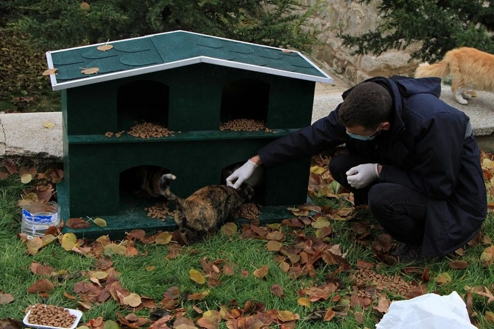 Sokağa çıkma kısıtlamasında sokak hayvanları unutulmadı