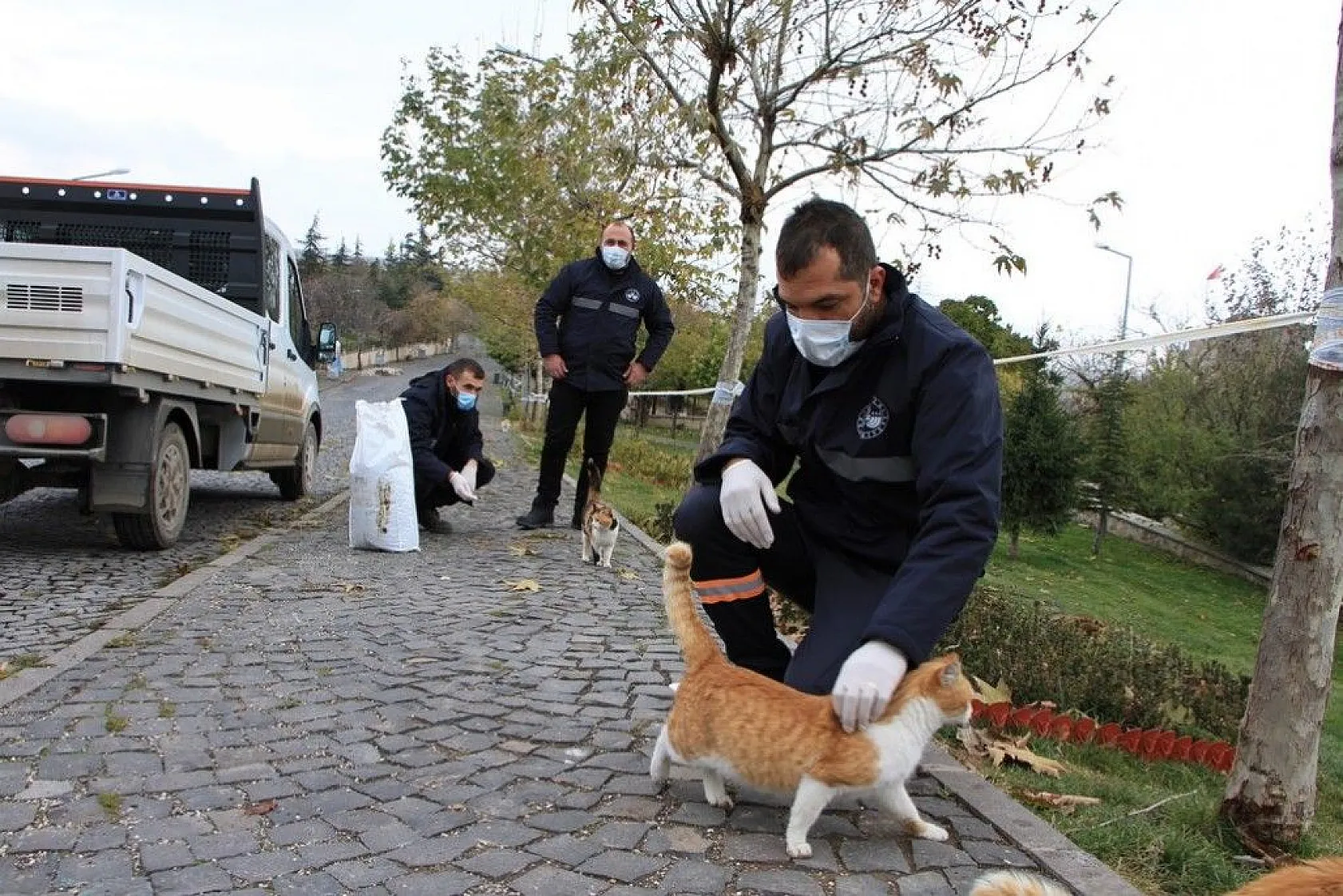 Sokağa çıkma kısıtlamasında sokak hayvanları unutulmadı