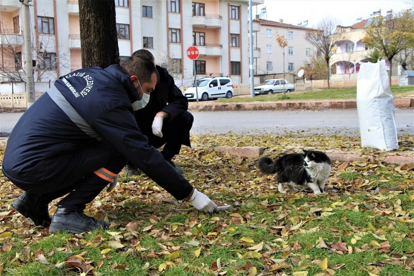 Sokağa çıkma kısıtlamasında sokak hayvanları unutulmadı