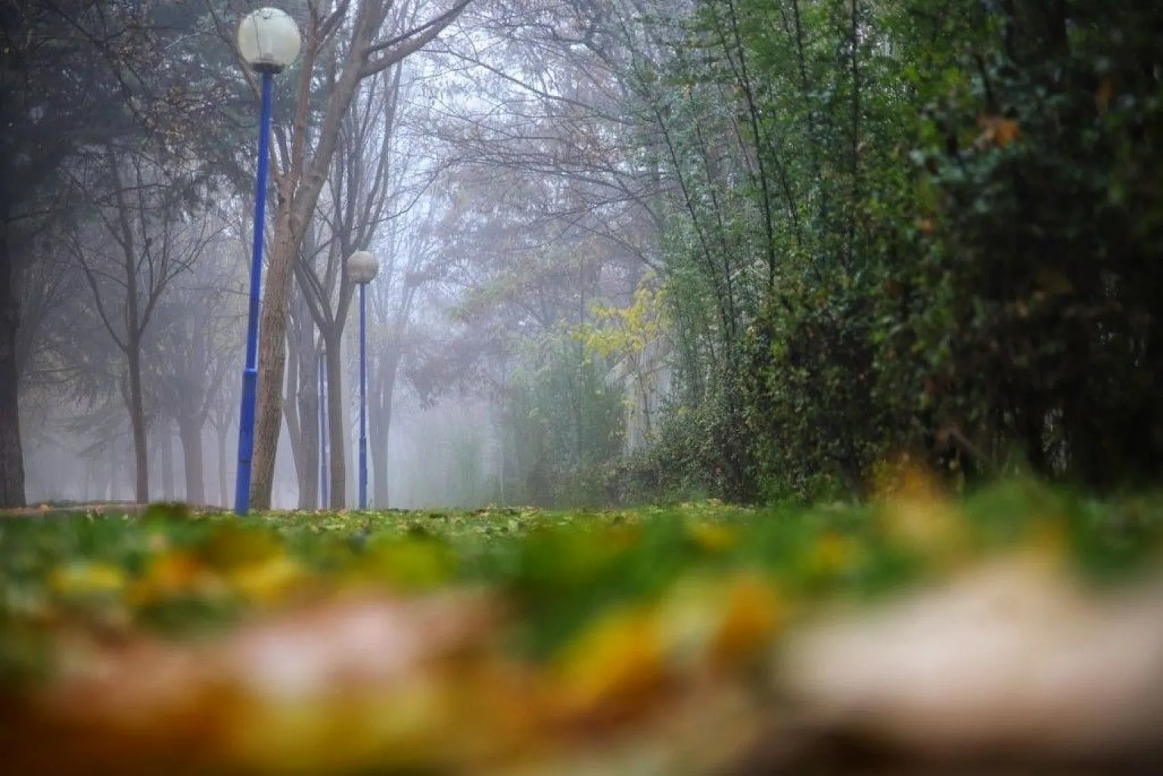 Sessizliğe bürünen Elazığ, sisle kayboldu