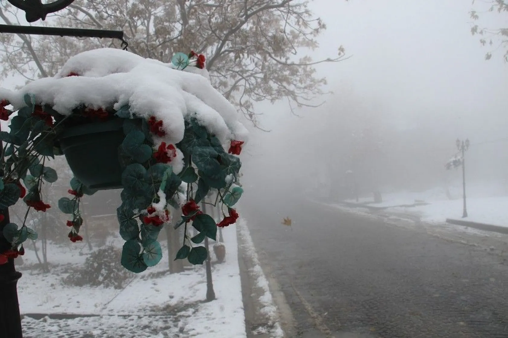 Gakgoşlar diyarından eşsiz manzara