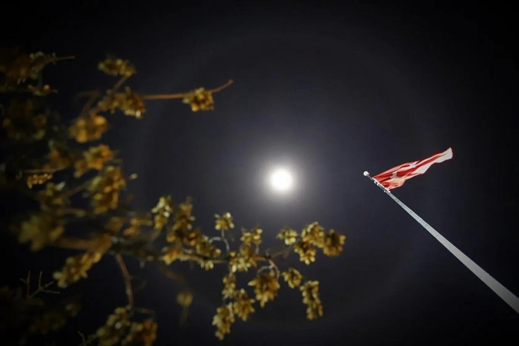 Ay halesi büyüledi