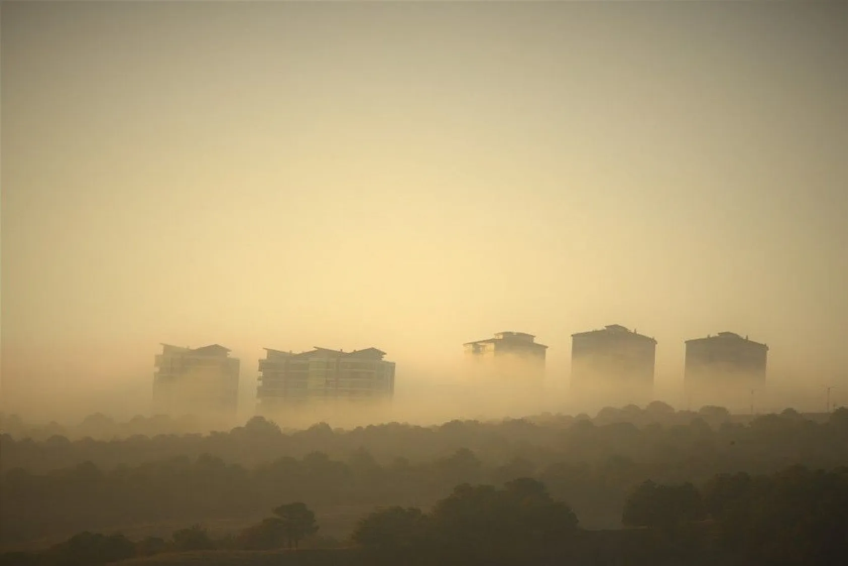 Elazığ'da sis görsel şölen oluşturdu