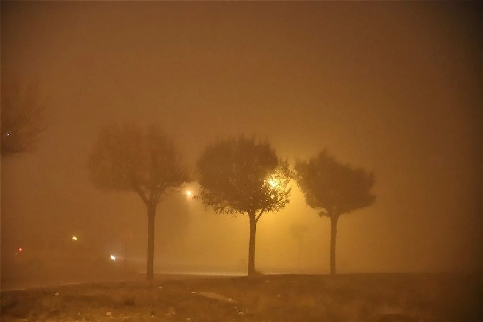 Elazığ'da yoğun sis