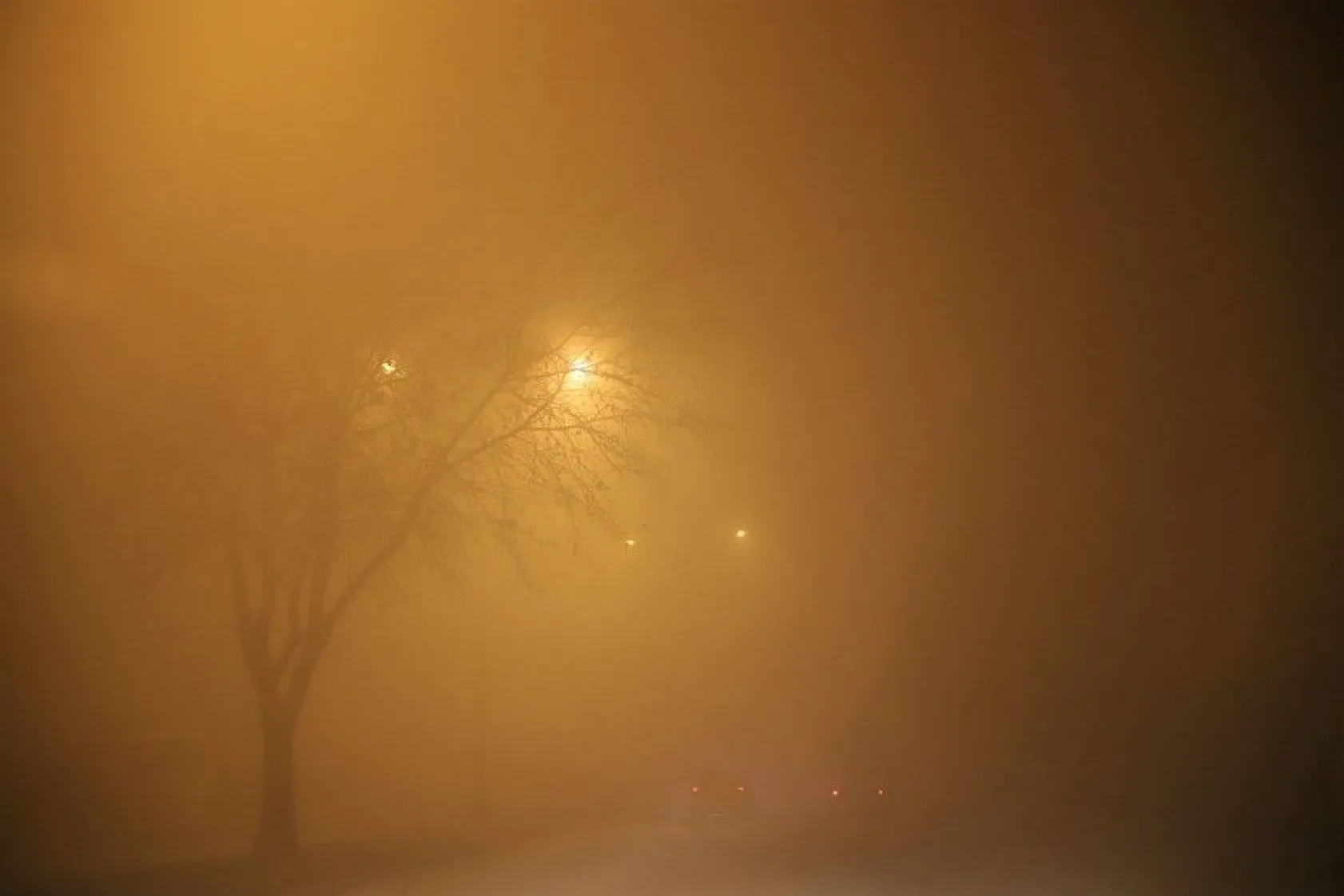 Elazığ'da yoğun sis