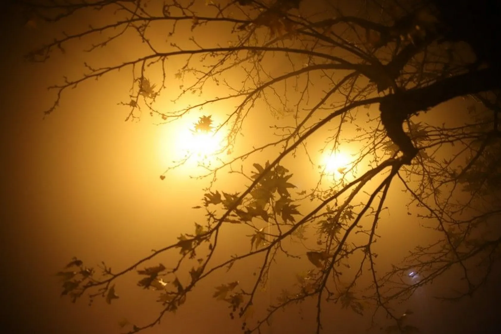 Elazığ'da yoğun sis