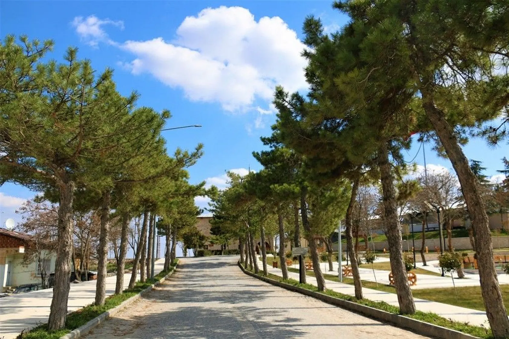 Harput yine boş kaldı