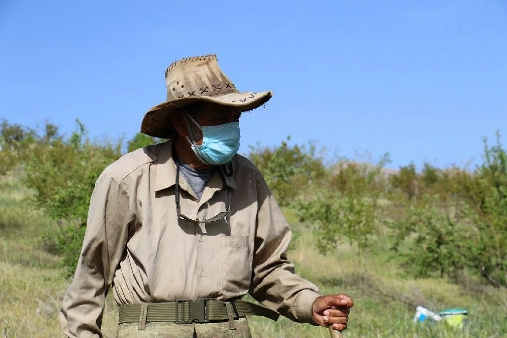 Robinson Ziya dedenin adası baharla birlikte yeşile büründü
