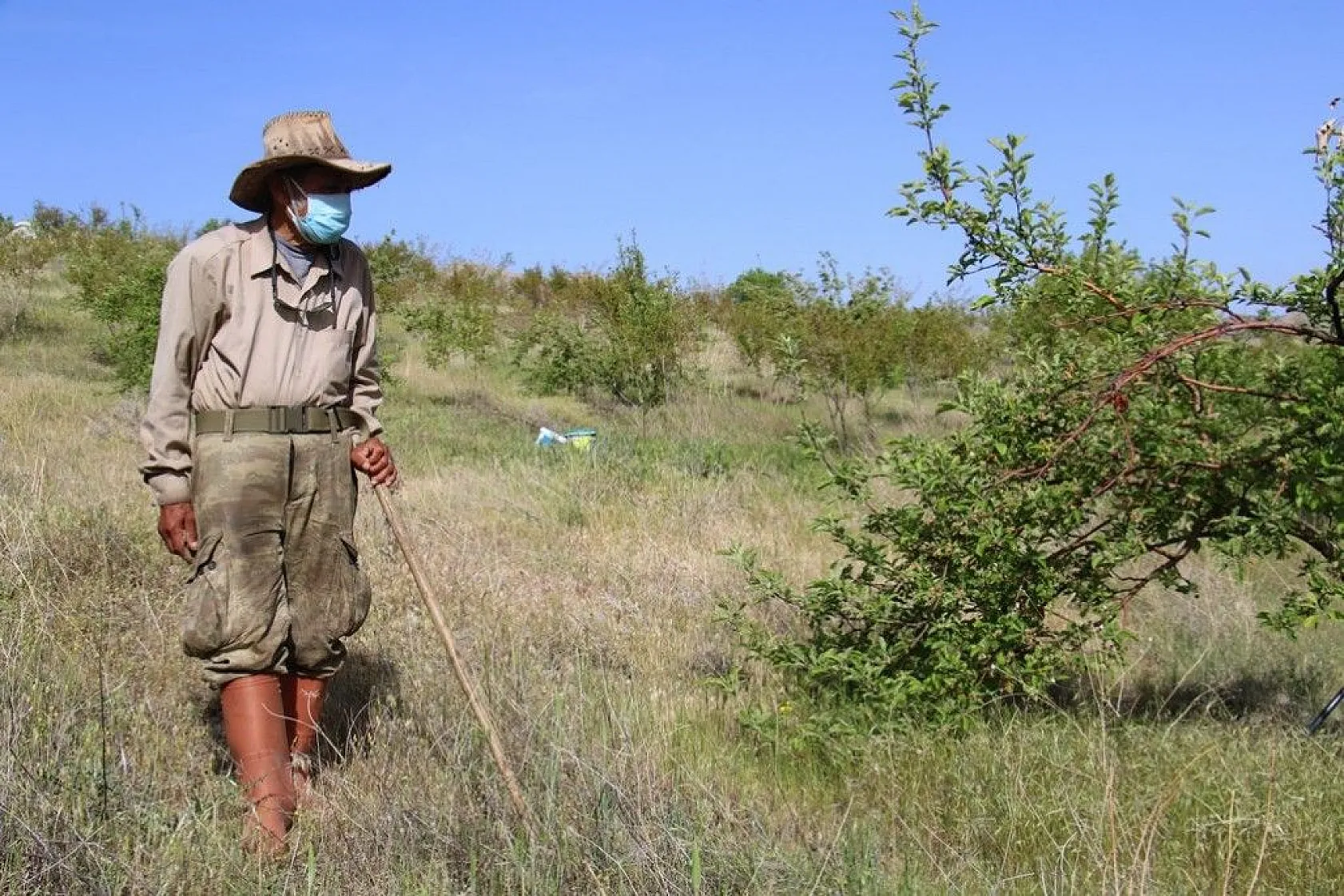 Robinson Ziya dedenin adası baharla birlikte yeşile büründü