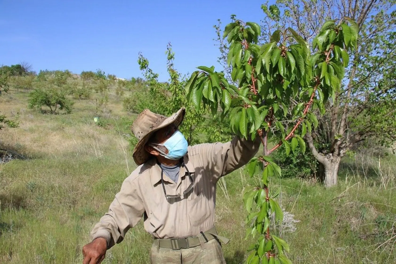Robinson Ziya dedenin adası baharla birlikte yeşile büründü