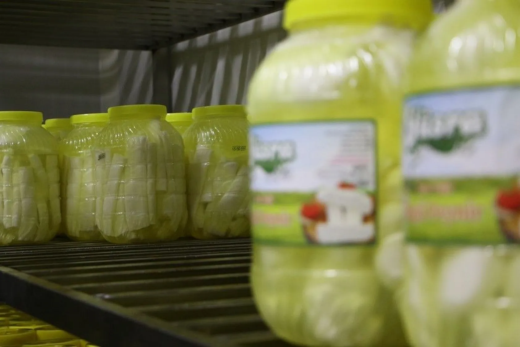 Genç girişimciden milyonluk yatırım