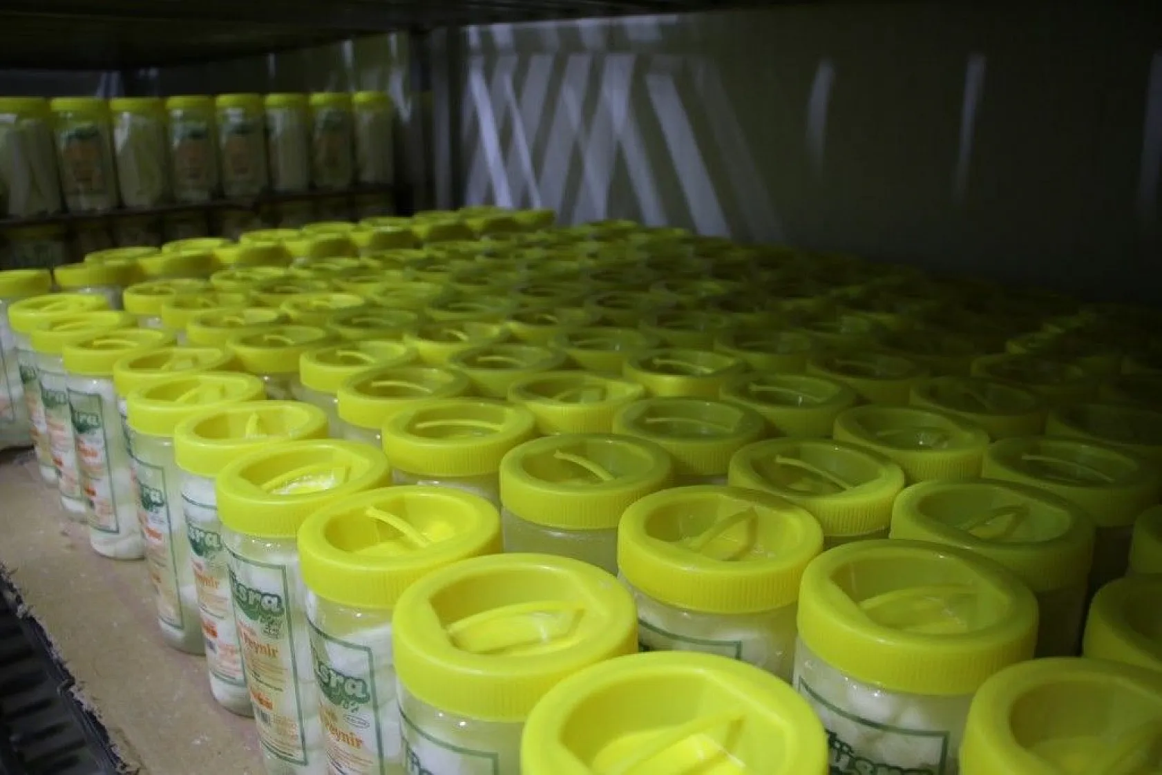 Genç girişimciden milyonluk yatırım