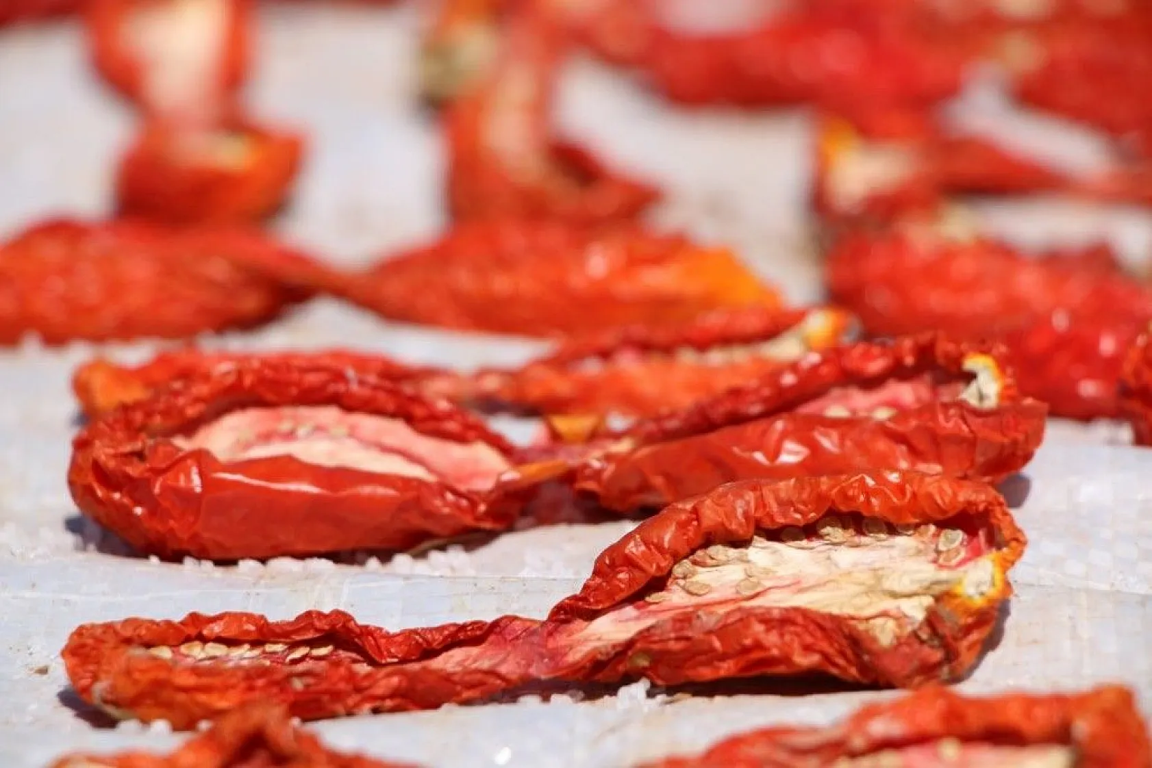 Kurutmalık domatesin hasadı başladı