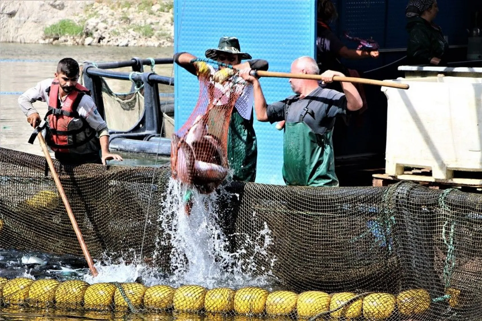 Elazığ'da üretilip birçok ülkeye ihraç ediliyor