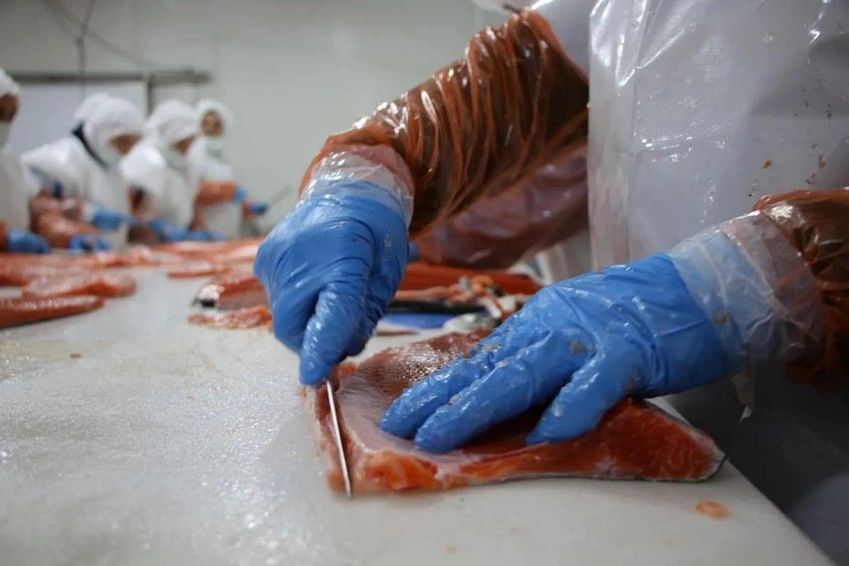 Elazığ'da üretilip birçok ülkeye ihraç ediliyor