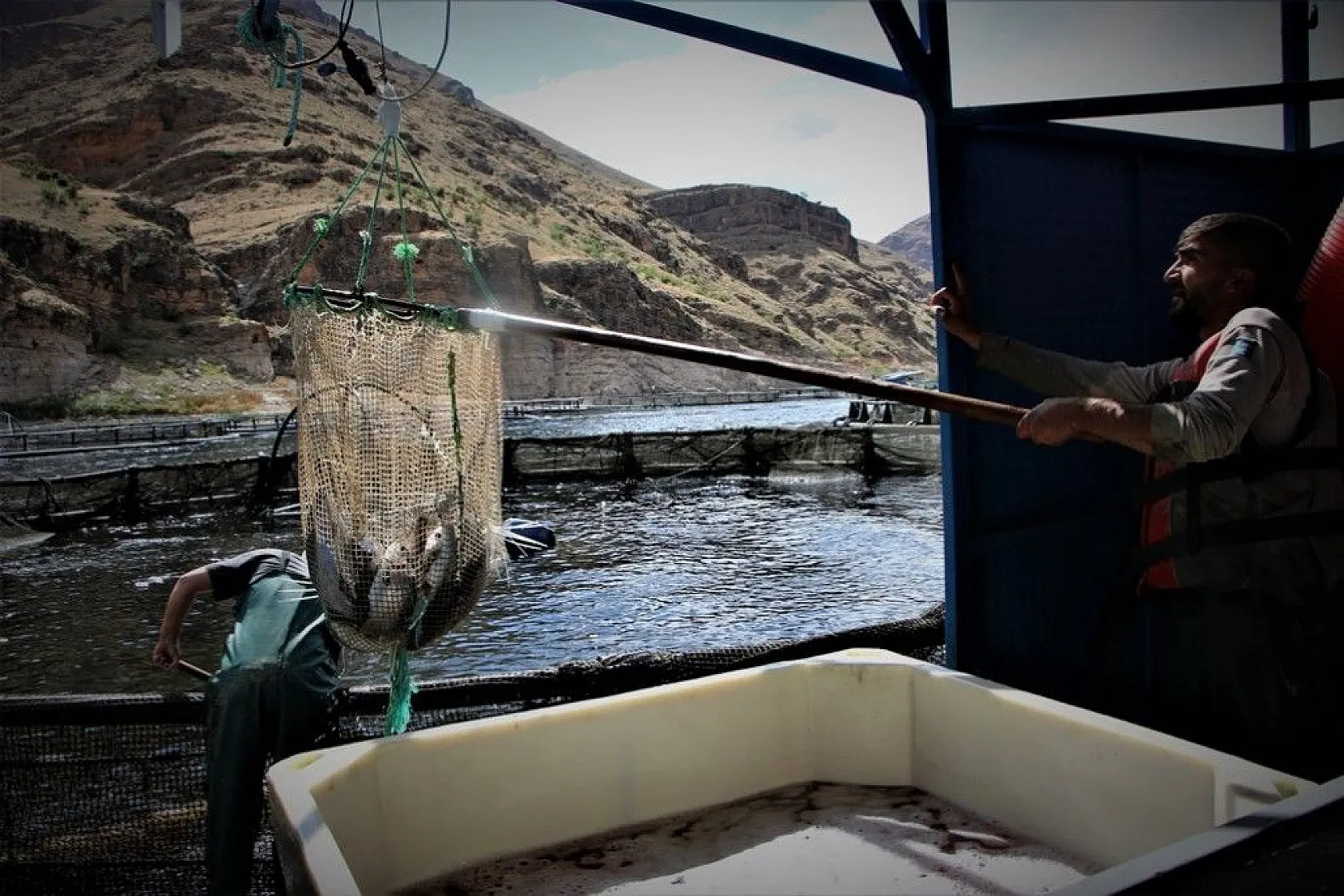 Elazığ'da üretilip birçok ülkeye ihraç ediliyor