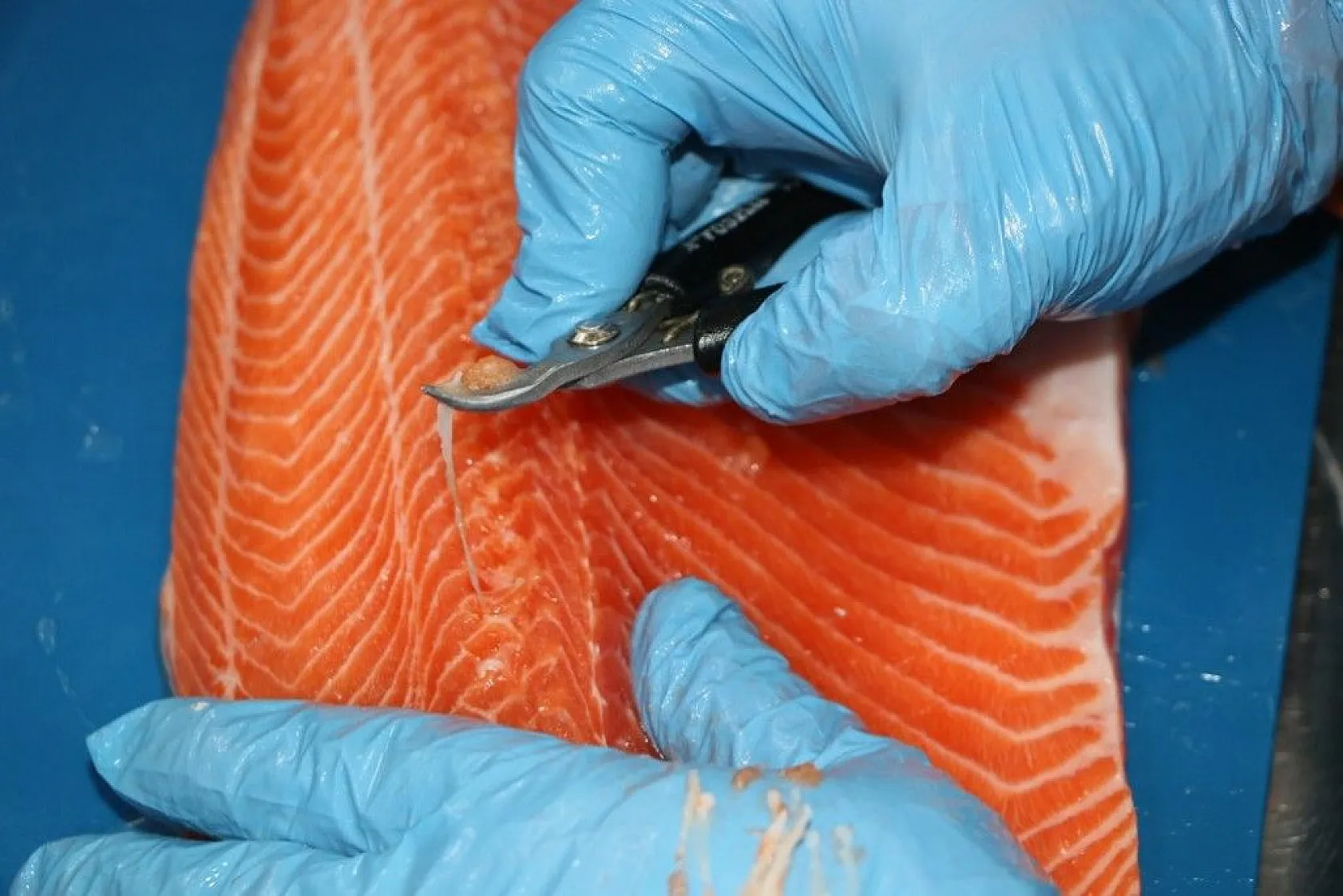 Elazığ'da üretilip birçok ülkeye ihraç ediliyor