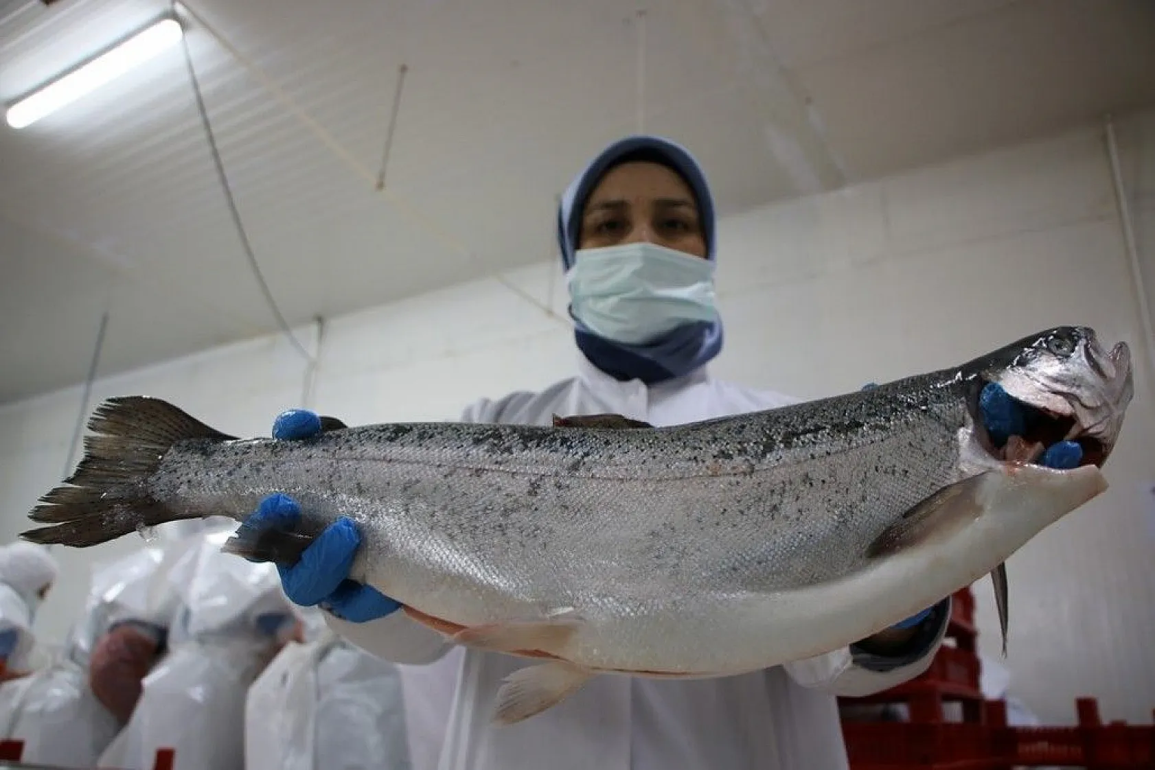 Elazığ'da üretilip birçok ülkeye ihraç ediliyor