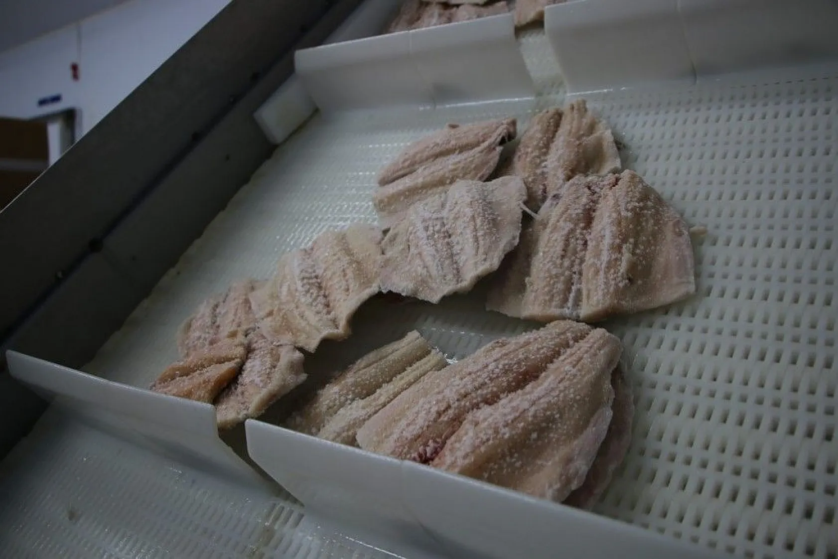 Elazığ'da üretilip birçok ülkeye ihraç ediliyor