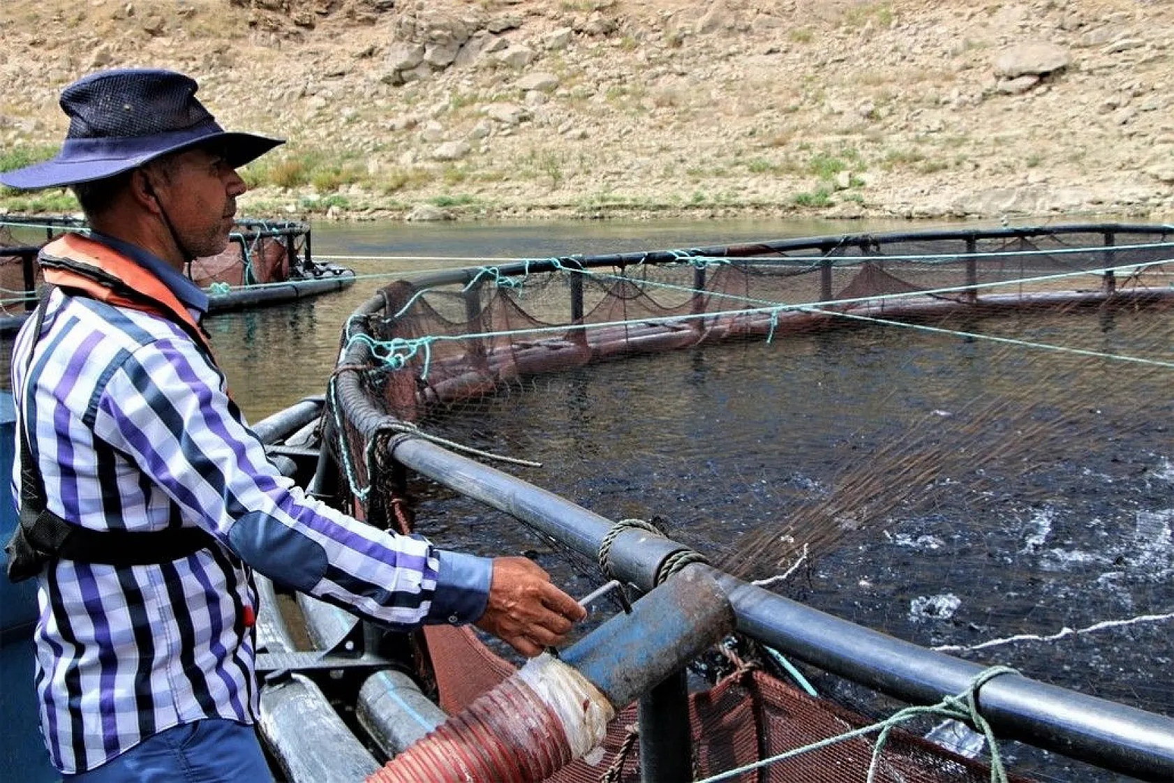 Elazığ'da üretilip birçok ülkeye ihraç ediliyor