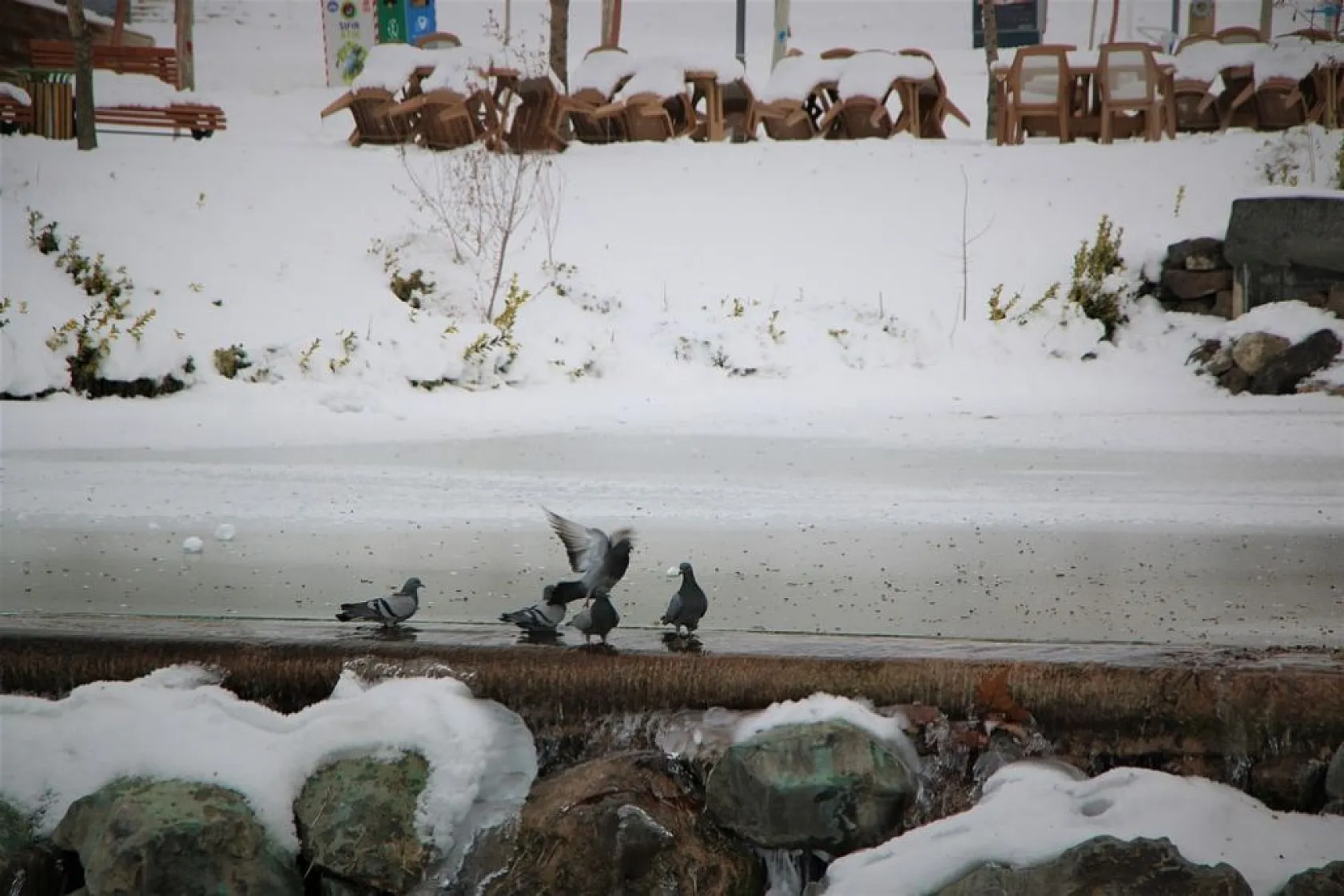 Soğuk hava süs havuzlarını dondurdu