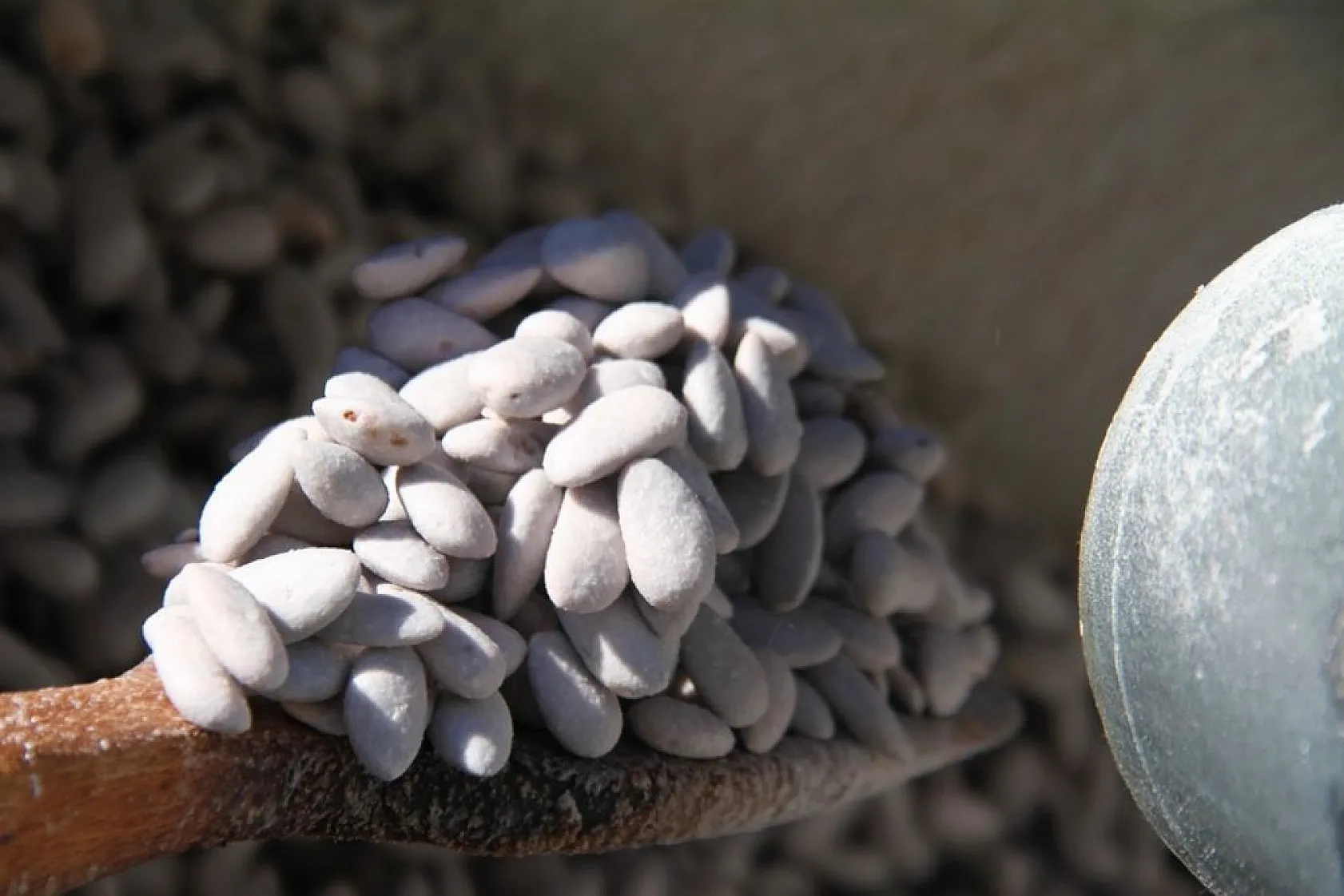 Ramazan'ın yaklaşmasıyla 'Beyaz Altın'a talep arttı!