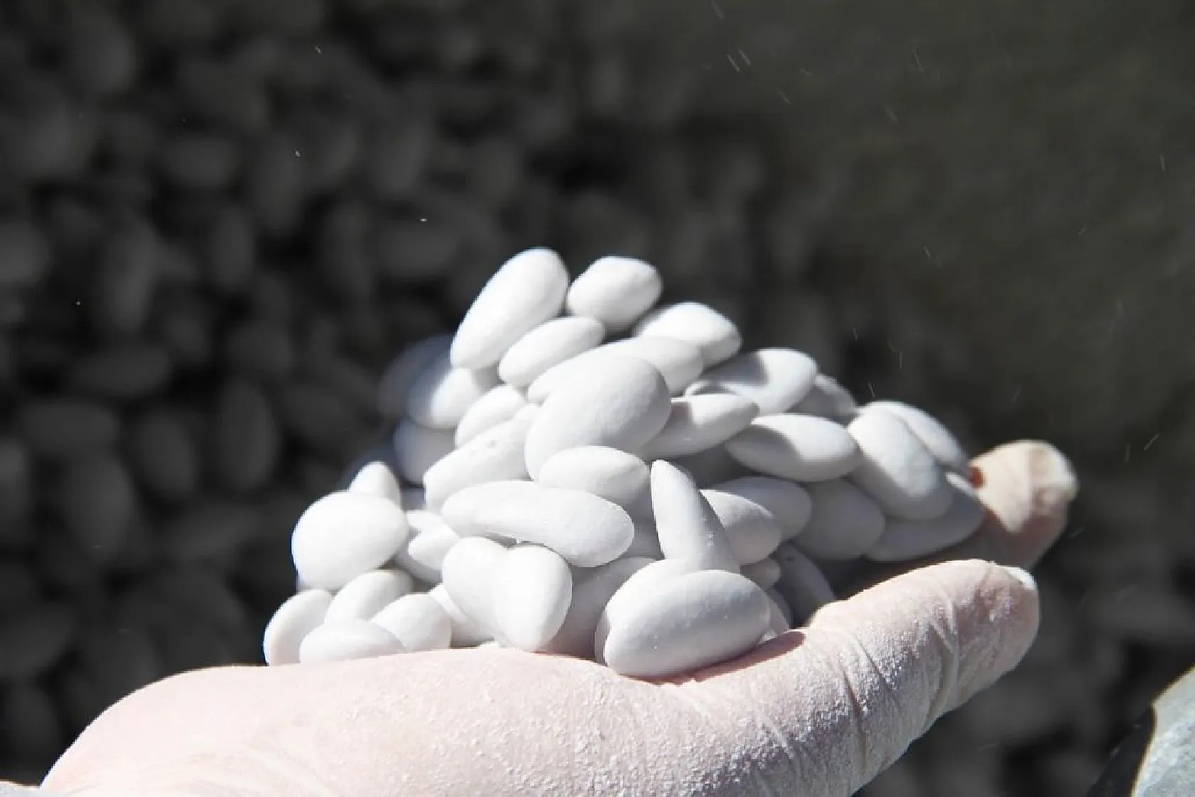 Ramazan'ın yaklaşmasıyla 'Beyaz Altın'a talep arttı!