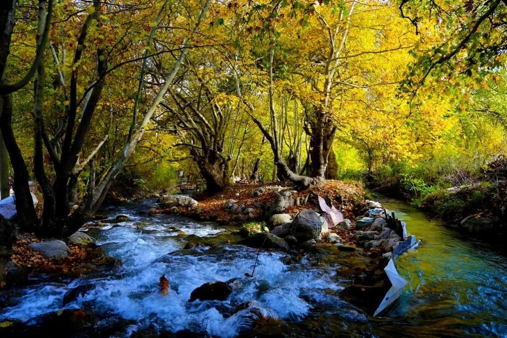 Antalya'da renklerin sonbahar dansı