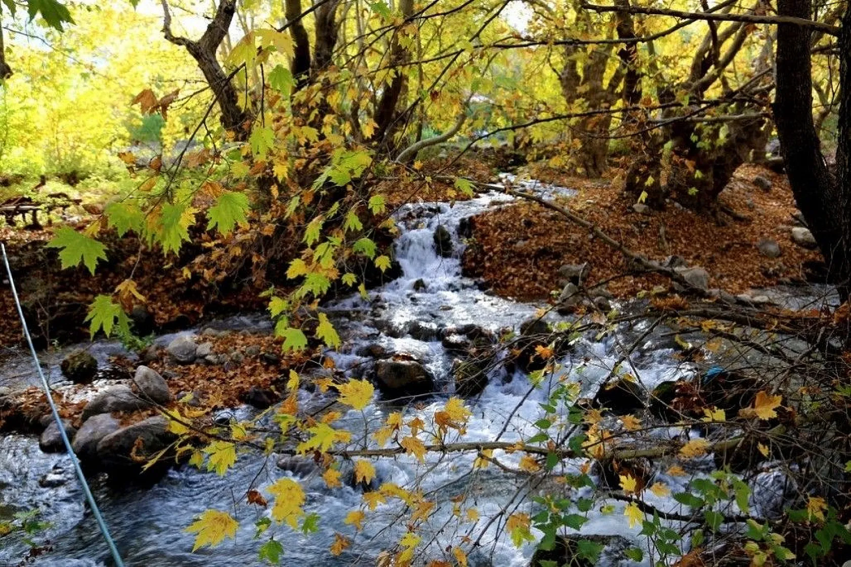 Antalya'da renklerin sonbahar dansı