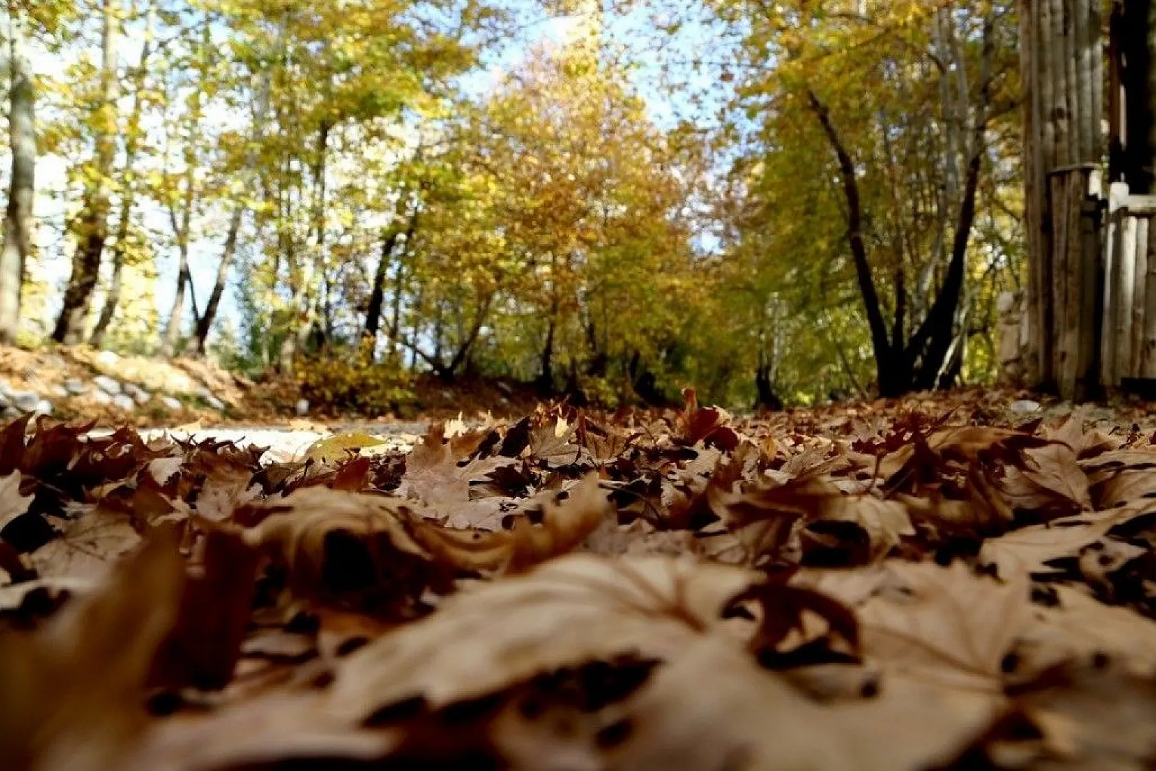 Antalya'da renklerin sonbahar dansı
