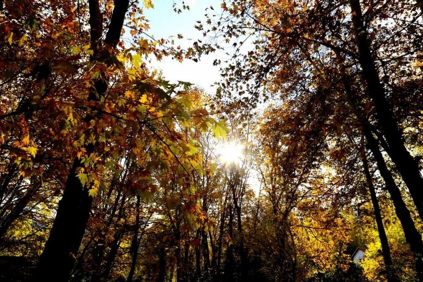 Antalya'da renklerin sonbahar dansı