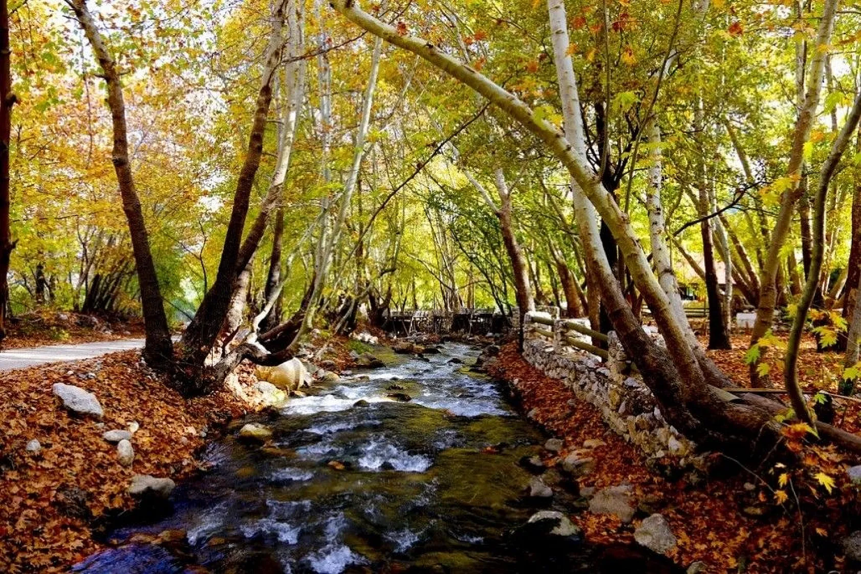 Antalya'da renklerin sonbahar dansı