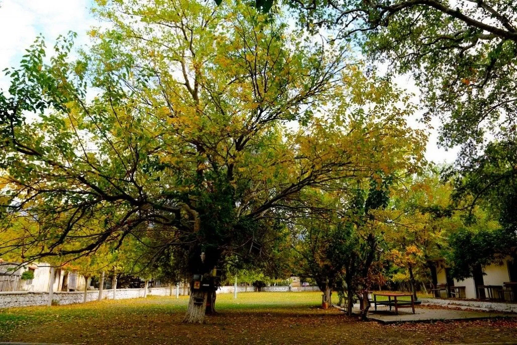 Antalya'da renklerin sonbahar dansı