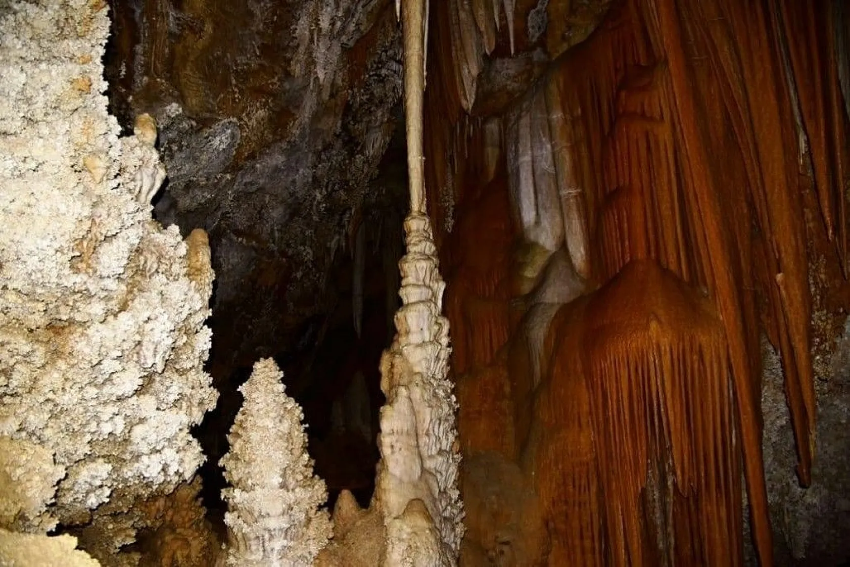 Doğal güzelliğiyle dikkat çekti... İsmi belli oldu!