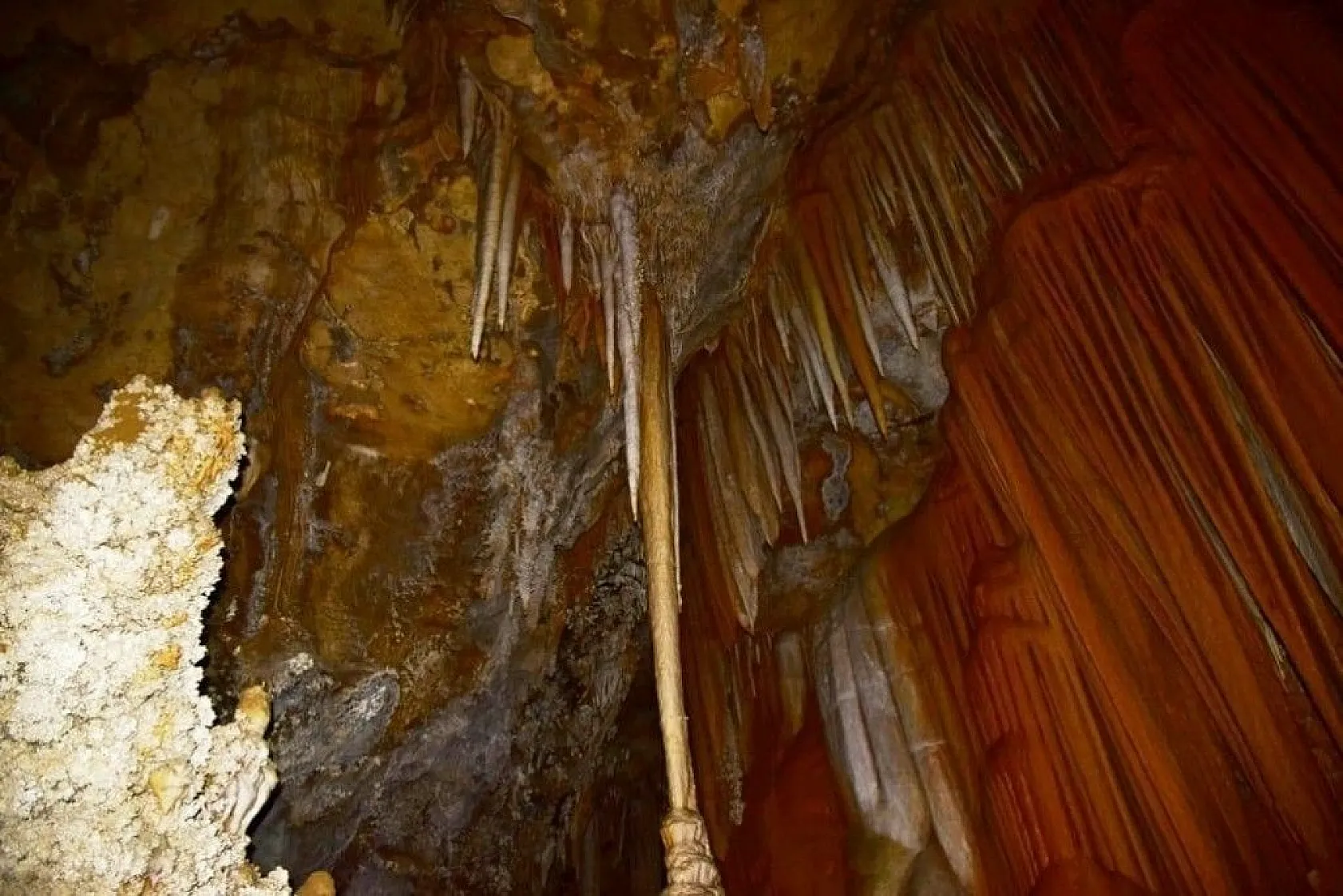 Doğal güzelliğiyle dikkat çekti... İsmi belli oldu!