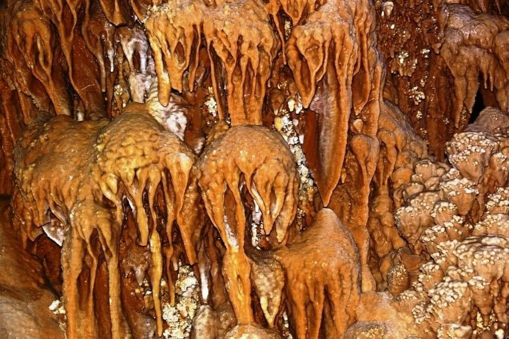 Doğal güzelliğiyle dikkat çekti... İsmi belli oldu!