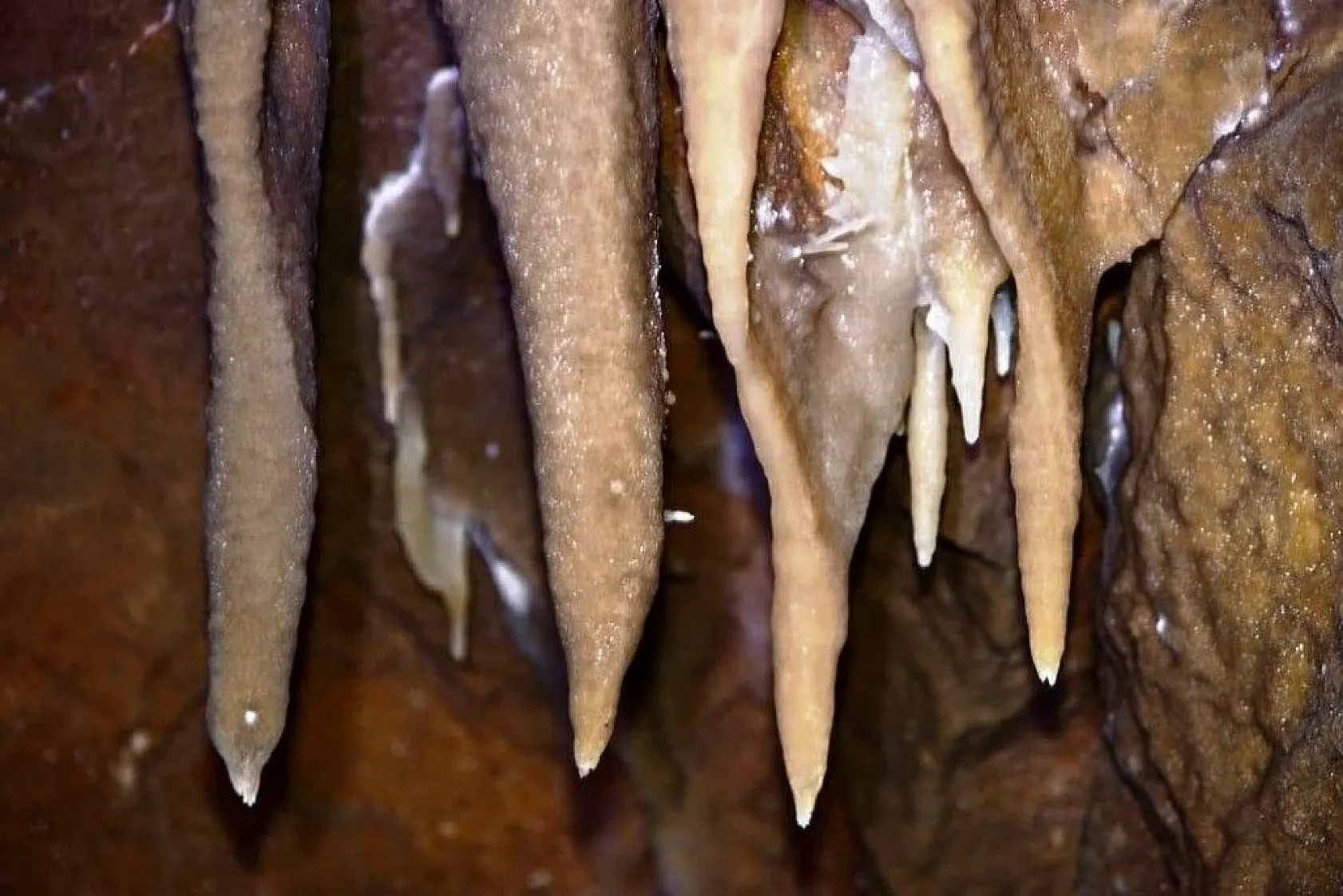 Doğal güzelliğiyle dikkat çekti... İsmi belli oldu!