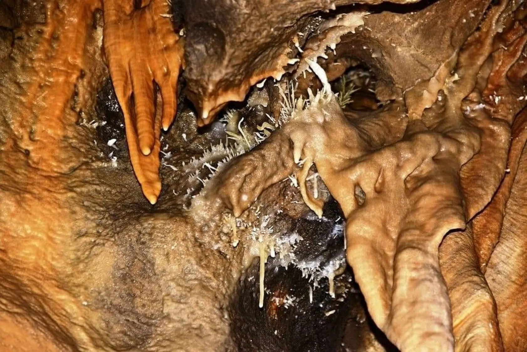 Doğal güzelliğiyle dikkat çekti... İsmi belli oldu!